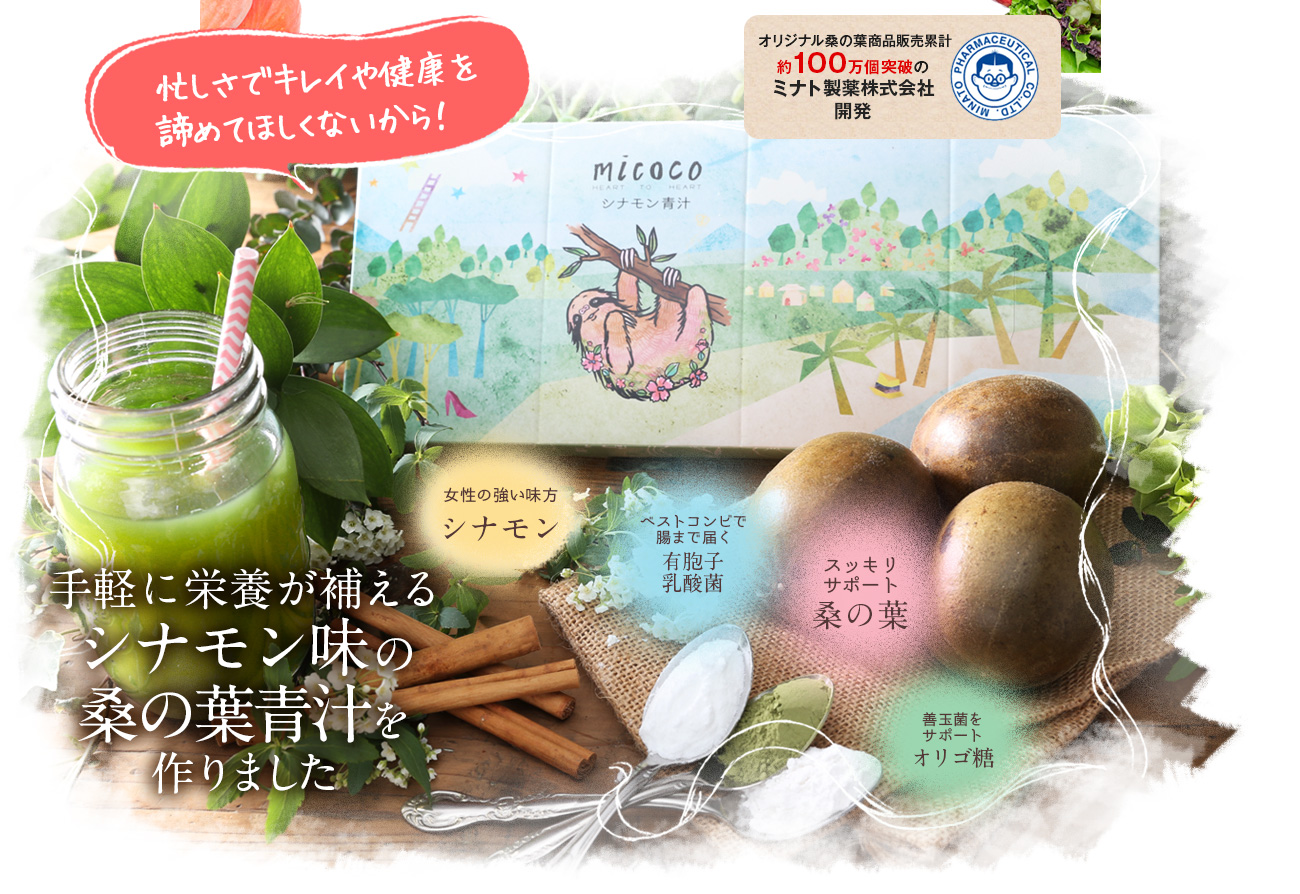 手軽に栄養が補えるシナモン味の桑の葉青汁をつくりました