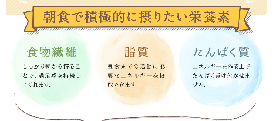 朝食で積極的に摂りたい栄養素 食物繊維 脂質 タンパク質